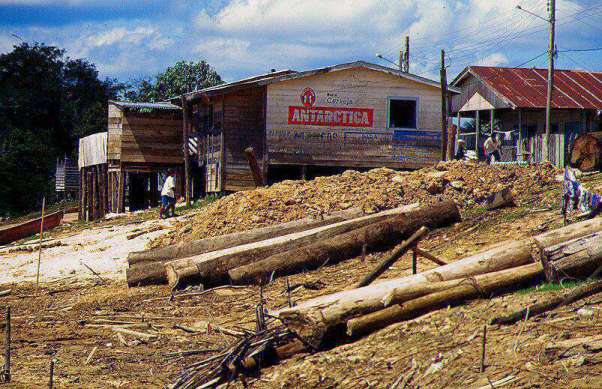 Timber Town