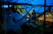 camp011.JPG
